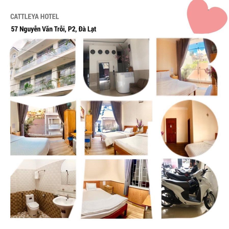 Cattleya Hotel ดาลัด ภายนอก รูปภาพ